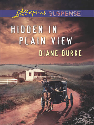 Hidden in Plain View - ebook